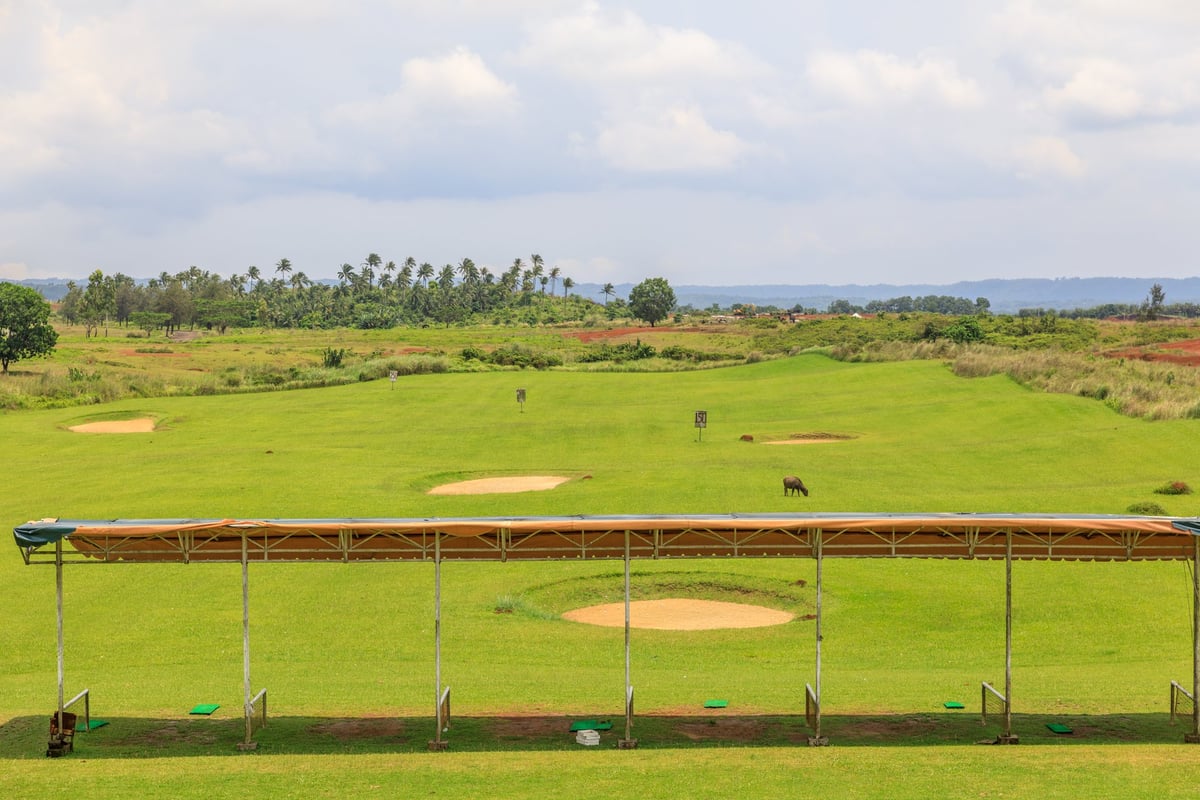 Golf course landscape